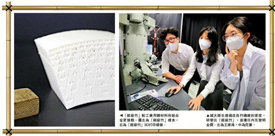 ﻿科學新知/「超級竹」強韌勝鋼鐵　冀灣區投產