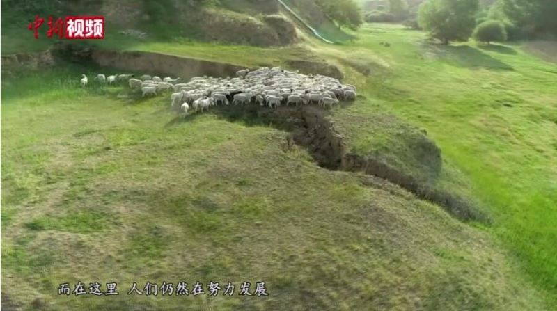 煤炭发电、塞外牧羊、汾河观鸟 英国小伙深度体验山西