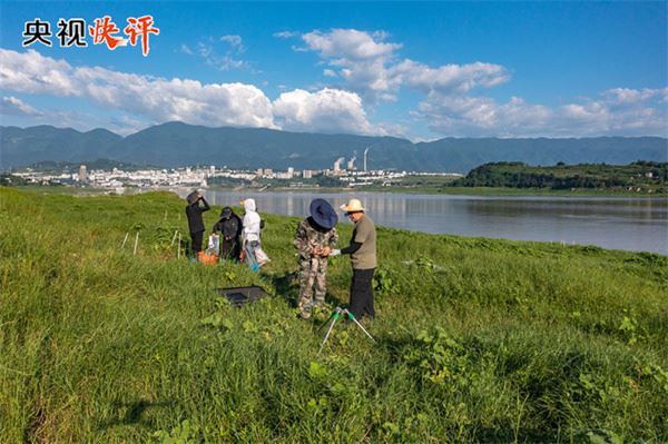 【央视快评】做绿水青山就是金山银山理念的积极传播者和模范践行者