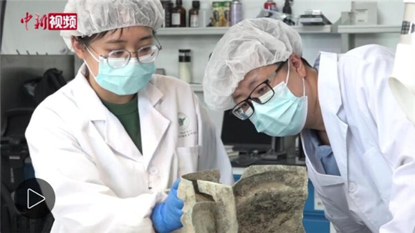 （文化新纪行）四川三星堆：多学科融合、多团队合作持续攻关“古蜀谜题”
