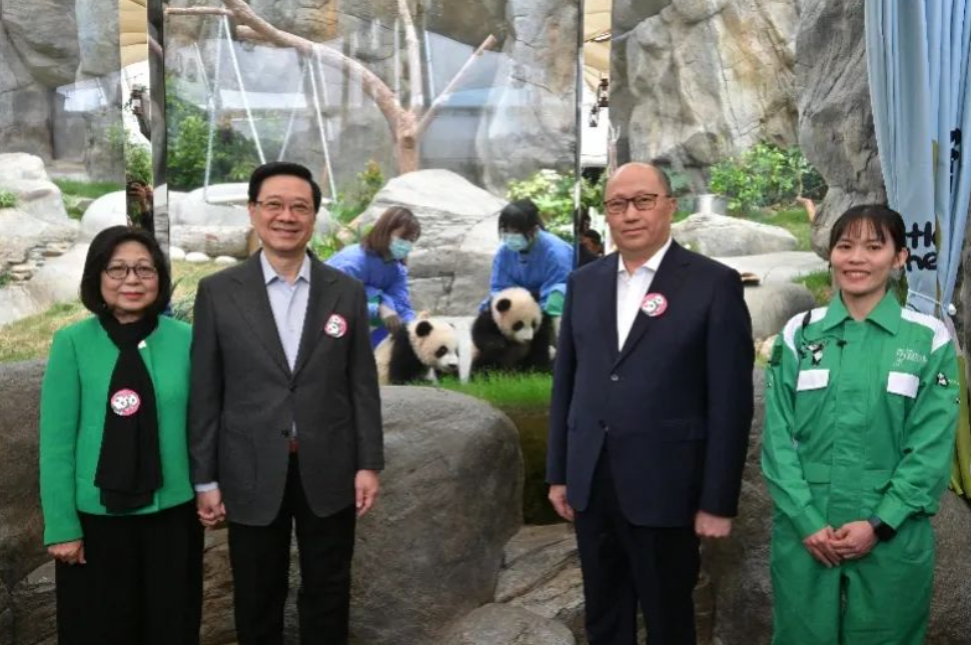 香港首对龙凤胎大熊猫公开亮相！邀你来取名