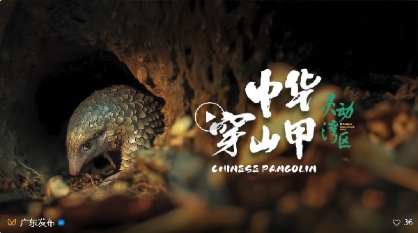 自带“绿”镜！这很广东