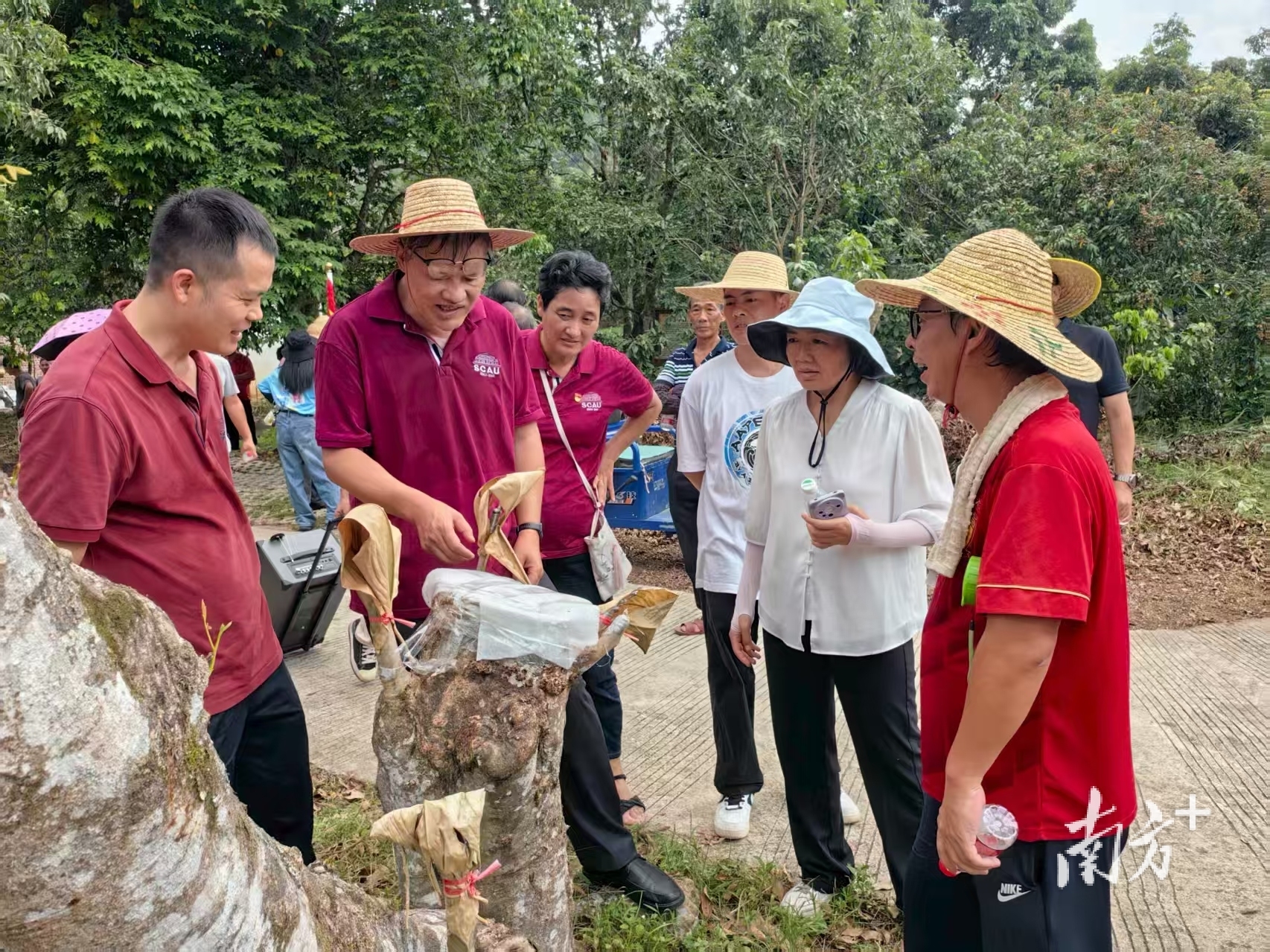 他是“荔枝使”，正在帮你实现“荔枝自由” | 见面