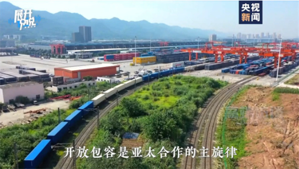 视频丨APEC秘书处执行主任:期待会议上的中国声音