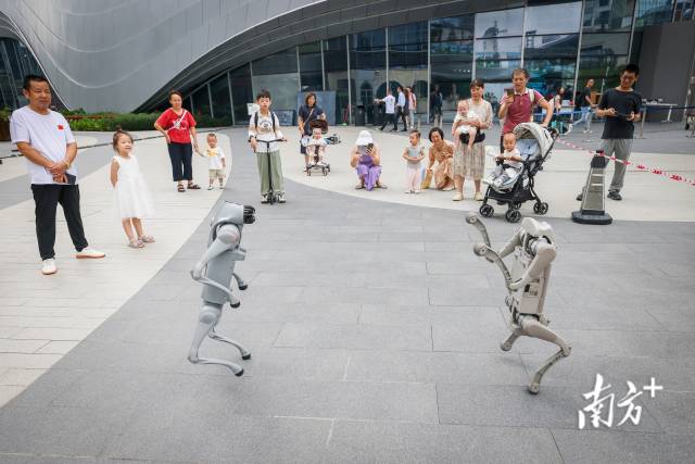 中国首个机器人署：让深圳孩子成为机器人时代“原住民”