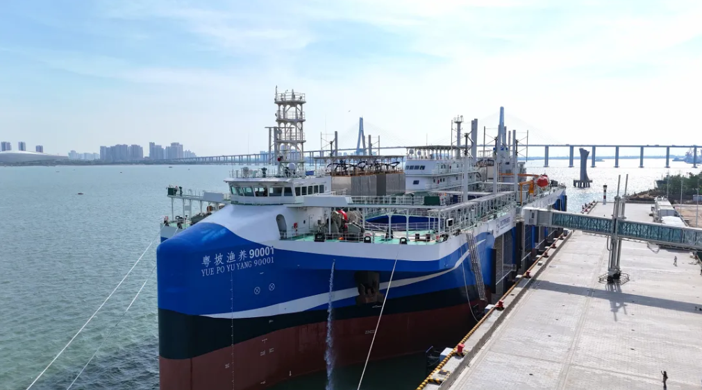 全球首创！“湛江湾1号”正式交付