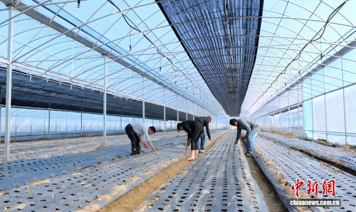 扎根乡土创新业 江西崇仁统战聚力促共富