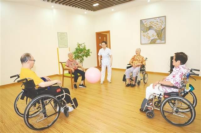 择一城相伴：为何江门成养老新“暖城”？