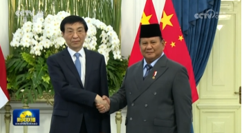 王沪宁对印度尼西亚进行正式友好访问