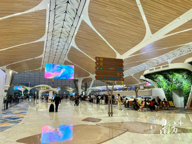 经济大省挑大梁 | 出圈了！大湾区世界级机场群为什么能成为流量王？