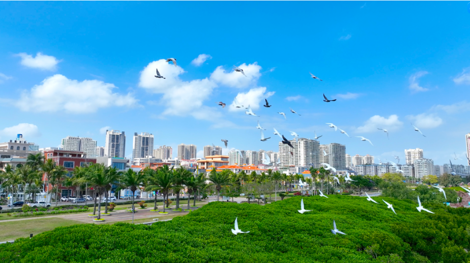 跨过菠萝的海，只为这桌“鲜”