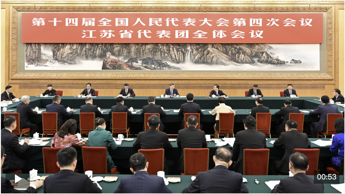 独家视频丨习近平参加江苏代表团审议