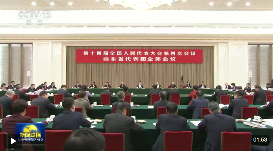 韩正参加山东代表团审议