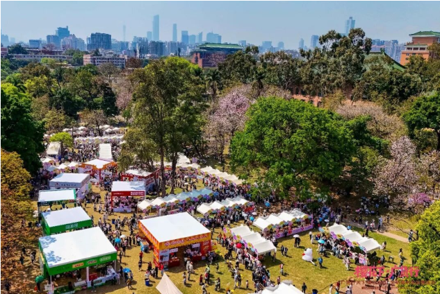 樱花树下办集市：一所高校与一个产业的生生不息| 樱花下•广货行
