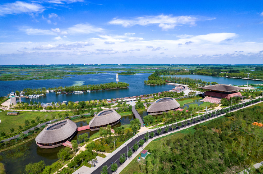 潮头观澜丨千年大计 拔节生长