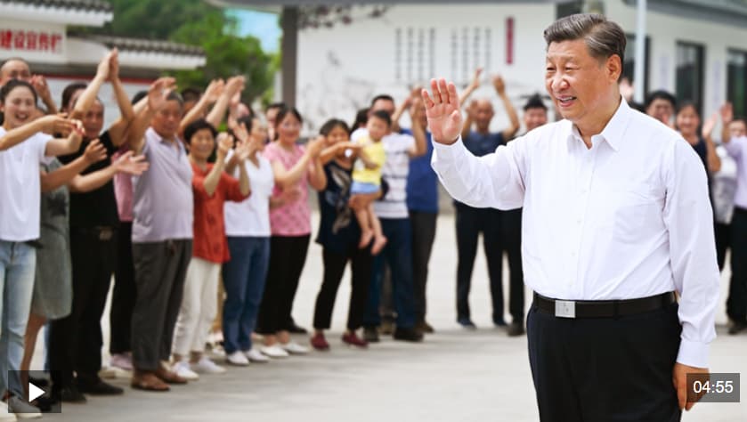 时政微视频丨拳拳赤子心