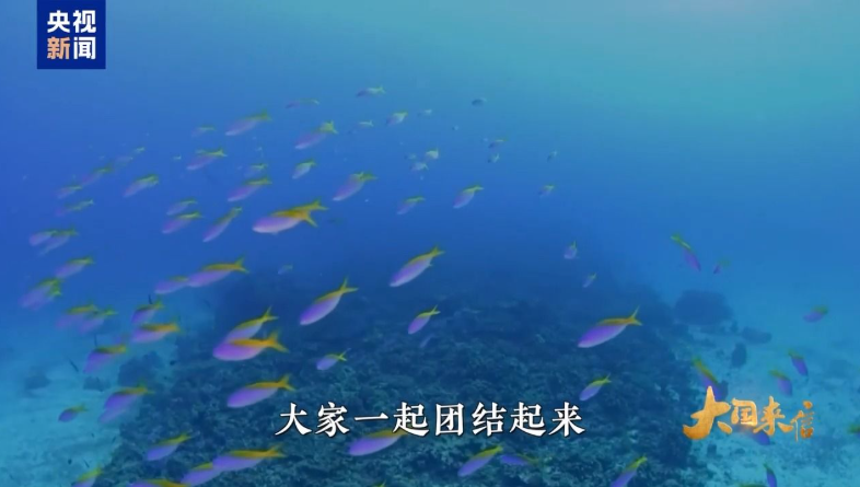 大国来信丨共航蔚蓝