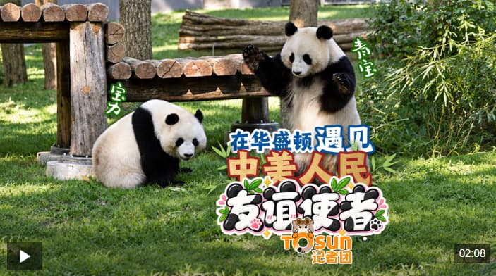 时政Vlog丨在华盛顿遇见中美人民友谊使者