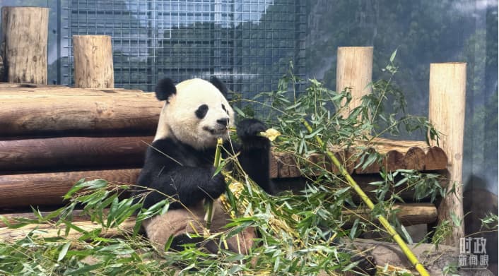 时政新闻眼丨习近平抵达华盛顿，高规格礼遇开启访美序幕