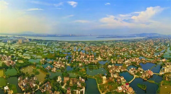 Updates_on_the_Concerted_Development_of_all_Districts_of_Jiangmen_City,_Guangdong:Achieving_Common_Prosperity_through_Joint_Development,_Sharing_and_Mutual_Progress