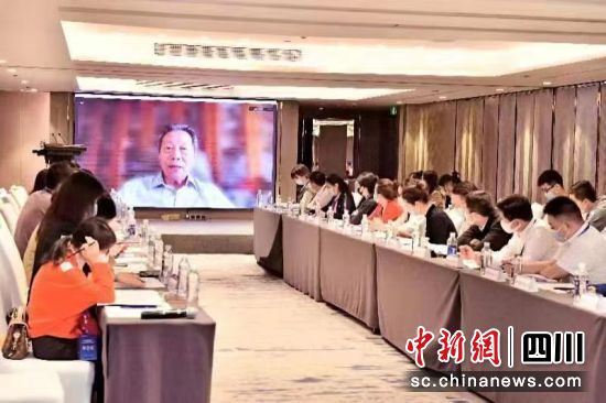 中国会展经济研究会学术指导委员会主任、原中国会展经济研究会会长袁再青视频致辞。 中国会展经济研究会学术指导委员会主任、原中国会展经济研究会会长袁再青视频致辞。