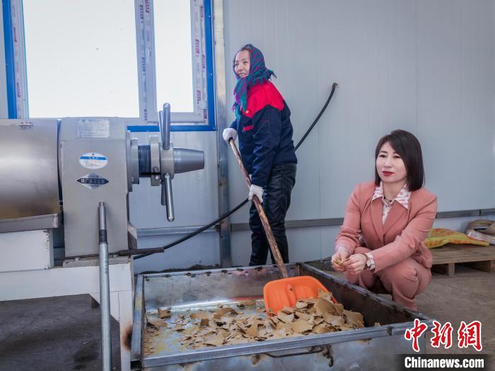 韩凤香：可持续发展让黑土地“产出”更高价值