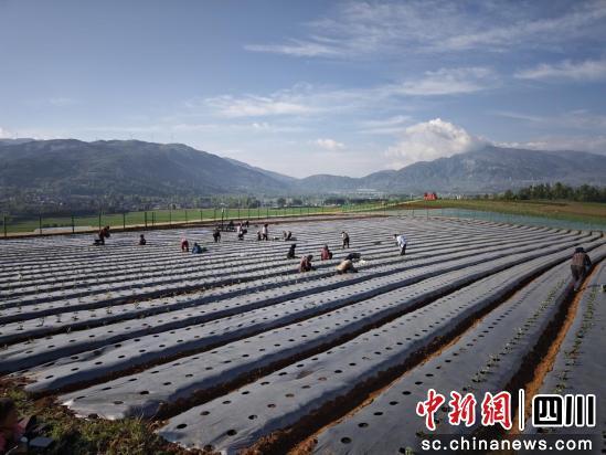 成都环境集团驻布拖帮扶的“满分”专班