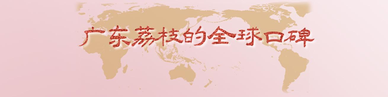 广彩上的荔枝元素：跨越时空的出海瓷器如何演绎“中国风”