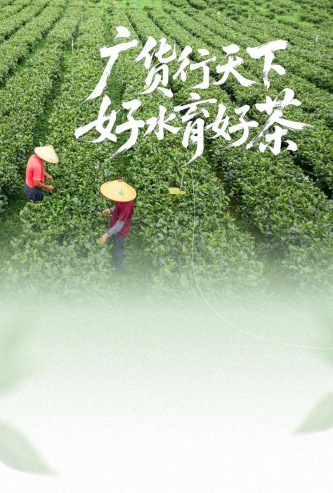 饮啖茶，乜都化