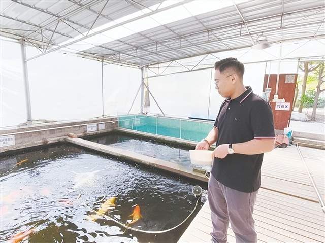 江门观赏鱼首次“游”向欧盟 政企同心打通海外市场通道