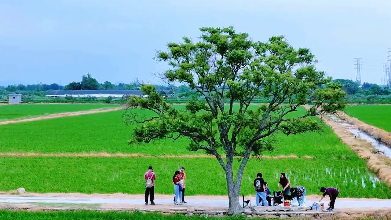 跟着电影《给阿嬷的情书》，打卡潮汕同款烟火 | 南方+拍客看广东