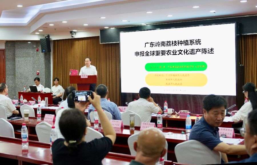 品牌故事丨“东方爱情果”广东荔枝亮相全球农遗遴选答辩会